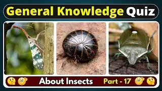 Can You Pass This Insect Quiz? 🐝 (Part 17) | 10 GK Questions That Will Sting Your Brain