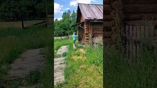 кино-деревня
