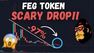FEG TOKEN NEWS! FEG TOKEN MASSIVE DROP INCOMING?! IS FEG TOKEN OVER?
