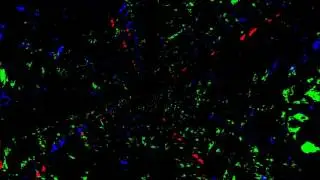 RPG Music: Dungeon Theme 1