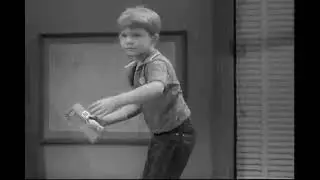Get your hands full - The Andy Griffith Show