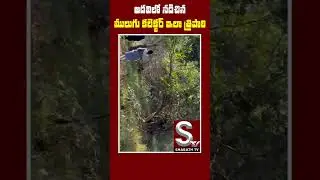 #sharathtv #manamulugu #mlaseethakka