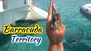 SDA154 Территория барракуды
