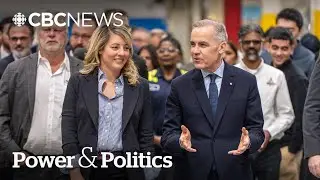 What does Canada's new EV plan mean for an industry hit hard by U.S. tariffs? | Power & Politics