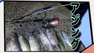 「ライトゲーム」LIGHT GAME PINOY ANGLER IN JAPAN TRY THE AJING FISHING METHOD[日本でアジング釣りに挑戦するフィリピン人釣り師]