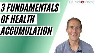 3 Fundamentals of Health Accumulation