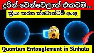 🌀 දුරින් වෙන්වෙලා තිබුණත් එකටම ක්&zwj;රියා කරන අංශු | Quantum Entanglement Explained in Sinhala