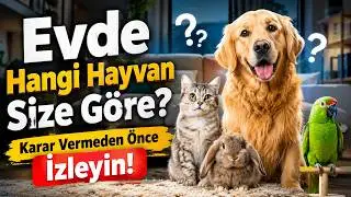 Evde Hangi Hayvan Size Göre? 🐾 Karar Vermeden Önce İzleyin!