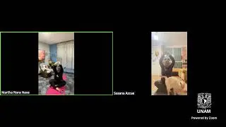Yoga 22/01/26 secuencias para espalda