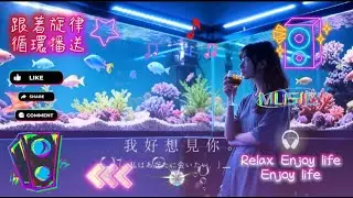 🔴 24🎵 歡迎來到「深夜微醺．Chill Vibes」直播間 🎵/7 CHING-CHILL-靘 音樂電台 | 放鬆 / 讀書 / 睡眠