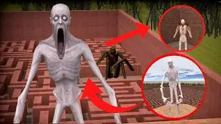 SCP-096 In The Maze Is Actually Unfair 😭(Garry's Mod) #gmod #garrysmod