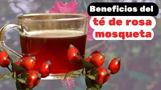 Descubre los sorprendentes beneficios del t&eacute; de rosa mosqueta para tu salud