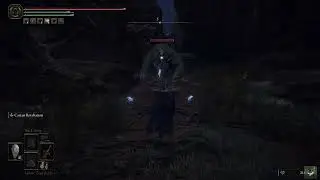 Vengence Against bear