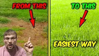 How to Fix Bare Spots in Your Lawn FAST Simple Garden Weasel + Scotts Trick
