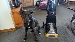 Bissell Carpet Cleaner Belt Replacement