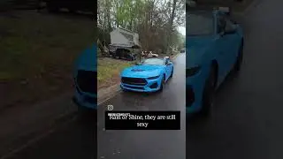 #2024mustanggtpremium #shelbygt350 #fordperformance #musclecar #shelbylife