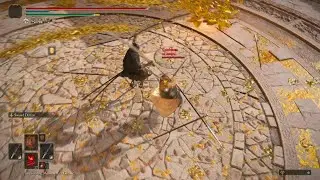 Try of a new kind of soft swap after martial art power stance
