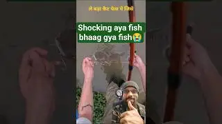 BIG fish Catch Viral Aaj fish pakda | reaction videos | fish video #viral #shorts #ytshorts #feed