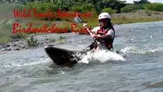 Corcovado River Kayaking - Birdwatching