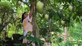 Soursop fruit Cook It or Not! Centella asiatica with Soursop fruit curry recipe | Rural Traditional