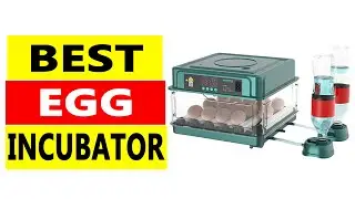 Top 5 Best Egg Incubator 2025