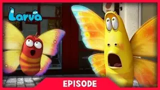 LARVA - WILD WILD WORLD | Cartoon Movie | Cartoons | Comics | Larva Cartoon | LARVA Official