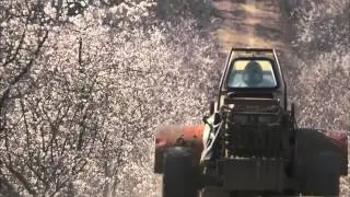 More Than Honey - Trailer (JP)