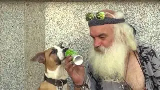 Galapaghost - Jim Beam [Official Video]