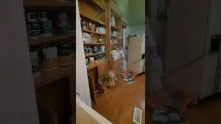 Update on rabbitat project. Vlog Day 21