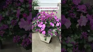 Container Gardening Inspiration #shorts #containergardening #gardeningideas #gardening