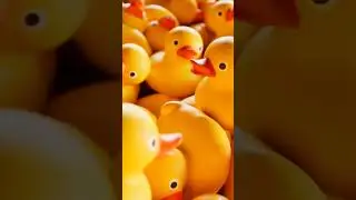 Here's What It Means If You See a Rubber Ducky on a Cruise Ship