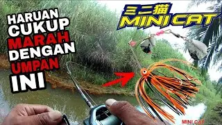 SPINNER BAIT MEMANG PADU || CASTING HARUAN KEBUN SAWIT || @adyflychannel