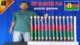 NEW CALEDONIA Flag Colours Cylinder Matching Game Challenge videos | Memory Power Test 