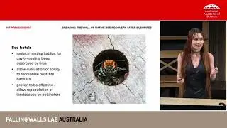 Falling Walls Lab 2025: Breaking the Wall of Native Bee Recovery After Bushfires