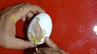 #Grey francolin #khirther national park #Pakistan #unique art #wildlife Artist #egg art museum #