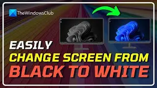 How to Change Screen From BLACK TO WHITE on Windows 11? [COMPLETE GUIDE]