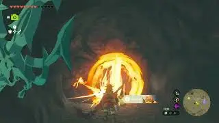 SIDE QUESTS: THE DUCHESS WHO DISAPPEARED | THE LEGEND OF ZELDA: TEARS OF THE KINGDOM (2023)