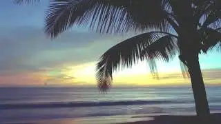 CARIOCA　 Horizon Dream +1 Smooth Jazz Fusion　Relaxing, Palm Trees & Sea　Simple original remastering