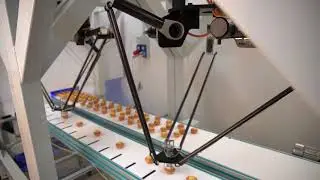 SIPRO - SIAX D3 1200 muffin picking