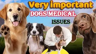 Most Common Health Issues In Dogs | Very Important For Pet Owners | Hindi