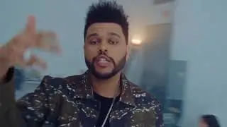 NAV 