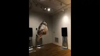 Purdue Galleries: MFA artist talk: Shane Terrell 4 11 2023