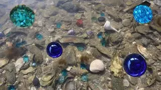 Colorful salt-water Crystal with Oysters. The shell is so Beautiful, what about the Crystal ?
