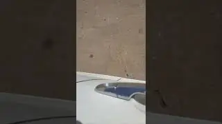 14 GMC 3.6 Brake noise while moving.