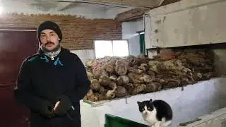 Нутрії: вольєри для нутрій, їх розміри