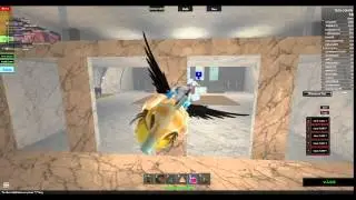 NekoGirl64's ROBLOX video