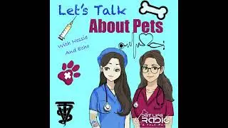 Let's Talk About Pets - Episode 6 Merry Petmas