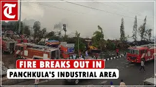 Fire breaks out in dumped horticulture waste near petrol pump in industrial area in Panchkula