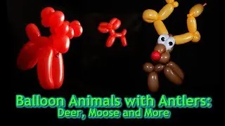 How to Make a Balloon Animal Deer - Learn These Four Balloon Sculptures