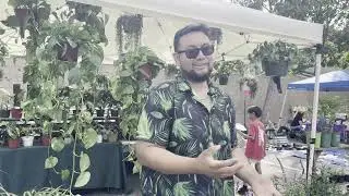 Fullerton's Monthly Community Yard Sale Wraps Up for 2025